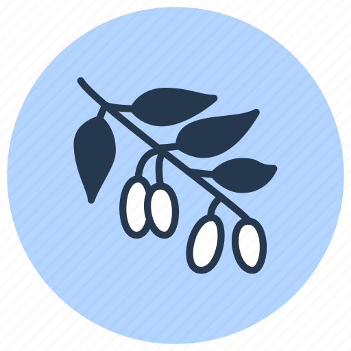 Berry, goji, herb, medicinal, plant icon - Download on Iconfinder