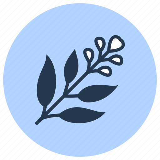 Herb, medicinal, plant, sage, salvia icon - Download on Iconfinder