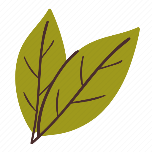 Bay, leaves, leaf, herbs, seasoning, condiment, cooking icon - Download on Iconfinder