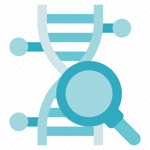 Bioengineering, biology, science, medical, dna analytic, laboratory, magnifier icon - Download on Iconfinder