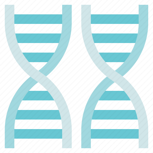Bioengineering, biology, science, medical, genome, dna, chromosome icon - Download on Iconfinder