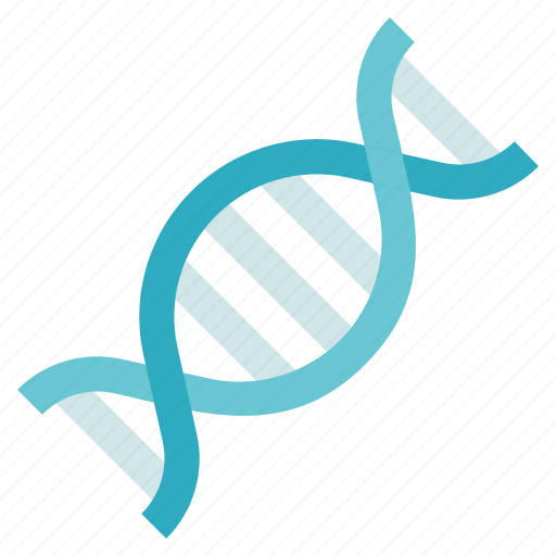 Dna, genetics, genome, organ anatomy icon - Download on Iconfinder
