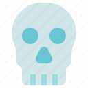 head, organ anatomy, skeleton, skull 