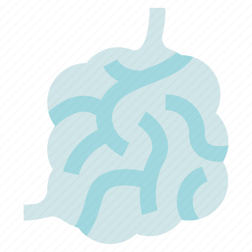 Bowel, digestion, organ anatomy, small intestine icon - Download on Iconfinder