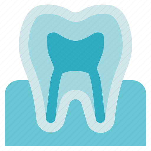 Gum, organ anatomy, tooth icon - Download on Iconfinder