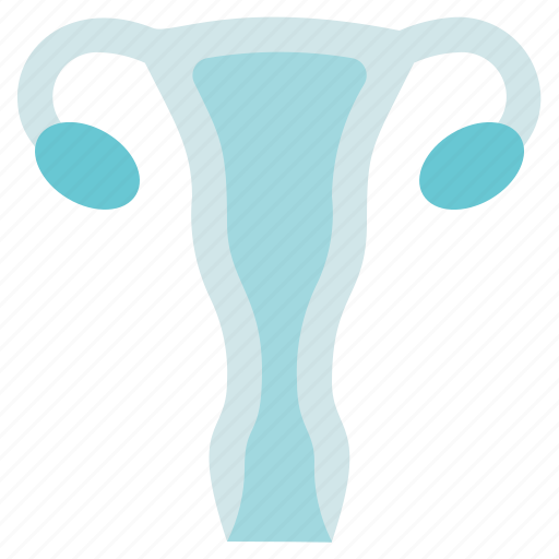 Gynecology, organ anatomy, reproductive, uterus icon - Download on Iconfinder