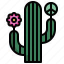 cactus, botanical, desert, flower, peace