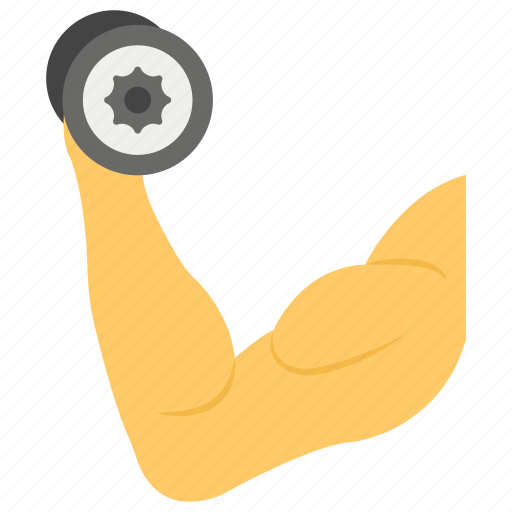 Dumbbells exercise, exercise tool, gym equipment, gym exercise, workout icon - Download on Iconfinder