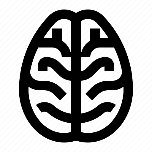 Brain, human, mind, organ icon - Download on Iconfinder