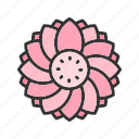 flower, nature, petals, fragrance, garden, beauty, bloom, decoration