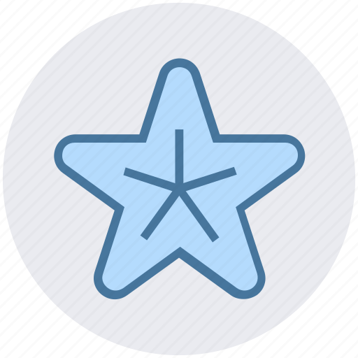 Beach, fish, holiday, sea, star, vacations icon - Download on Iconfinder