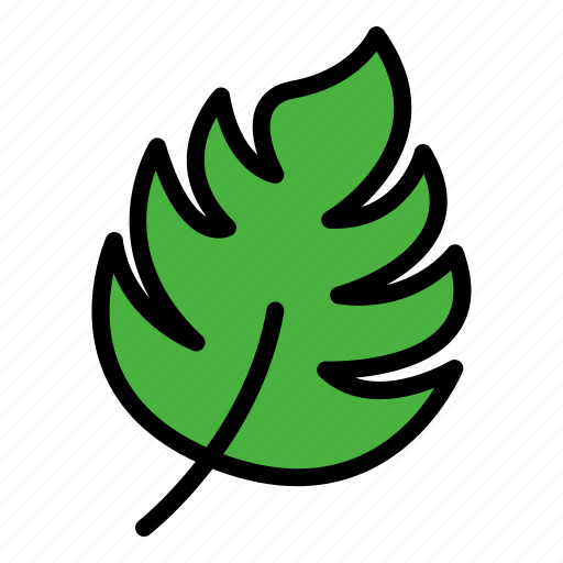 Leaf, plant, natural, floral, nature icon - Download on Iconfinder