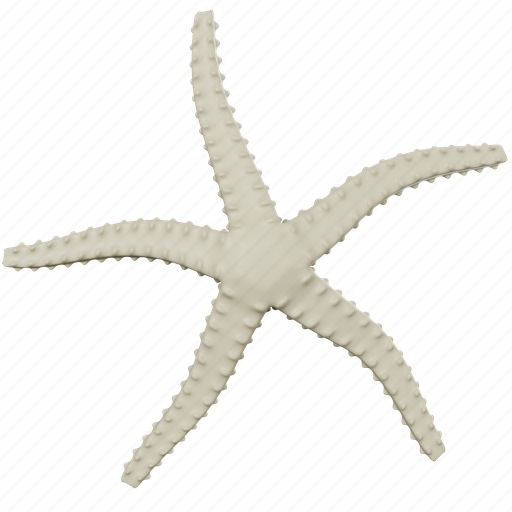 Starfish, beach, sea, tropical, ocean, shell, nature 3D illustration - Download on Iconfinder