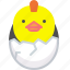 chicken, easter, egg, mascot 