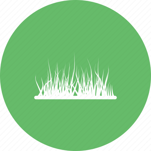 Decoration, garden, grass, nature, plant, pot, spring icon - Download on Iconfinder