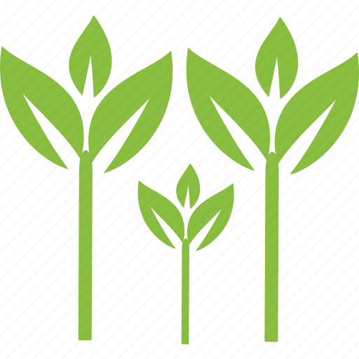 Leaves, plant, plants, tree, trees, weed, environment icon - Download on Iconfinder