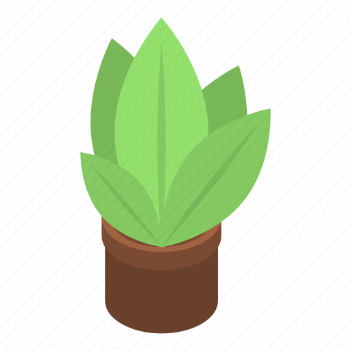 Cartoon, floral, flower, isometric, plant, pot, tree icon - Download on Iconfinder