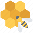 bee, honeycomb, apiary, beekeeper, beekeepering, honey