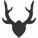 antlers, decoration, design, horns, interior, trophy