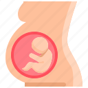 baby, fertility, gestation, pregnancy, pregnant, womb