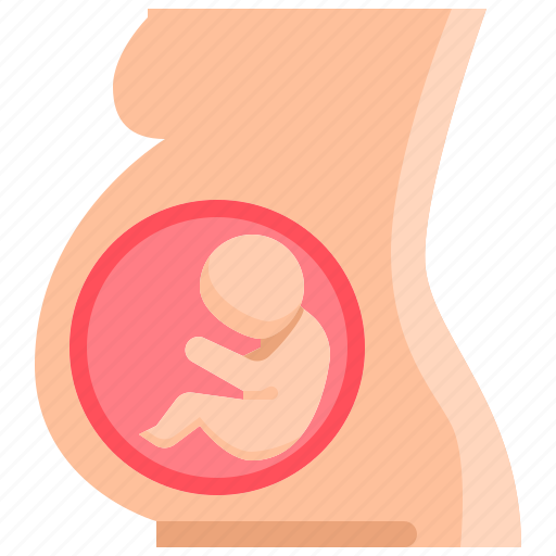 Baby, fertility, gestation, pregnancy, pregnant, womb icon - Download on Iconfinder