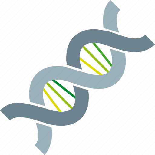 Biology, chain, dna, genetic, genetics, genome, structure icon - Download on Iconfinder