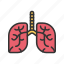 pulmonology, anatomy, lungse, organ, breath, chest, treatment, healthcare 