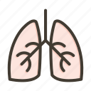 pulmonology, lungs, organ, medical, anatomy