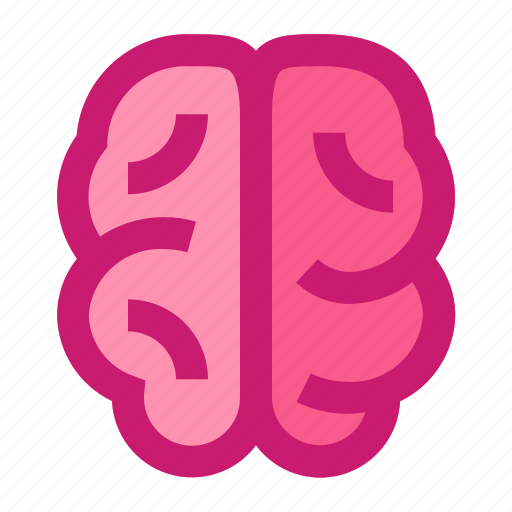 Brain, head, intelligence, iq, mind, organ, smart icon - Download on Iconfinder