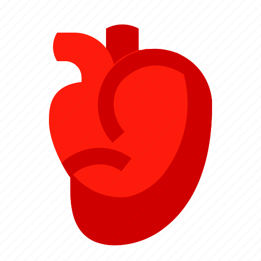 Blood, body, cardiology, heart, medical, organ, pump icon - Download on Iconfinder