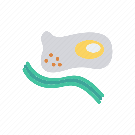 Boiled, egg, omelette, yolk icon - Download on Iconfinder