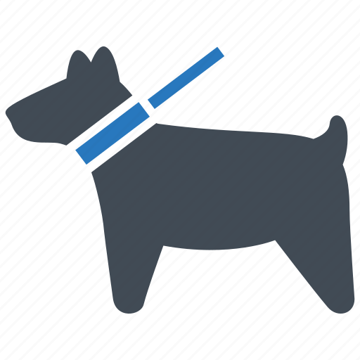 Animal, collar, dog, leash, pet, walk the dog icon - Download on Iconfinder