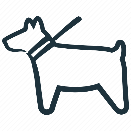 Animal, collar, dog, leash, pet, walk icon - Download on Iconfinder