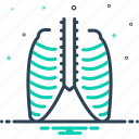 chest, ribcage, strnum, thorax, torso, vertebra, xray