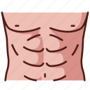abdomen, health, stomach, abdominal, physical