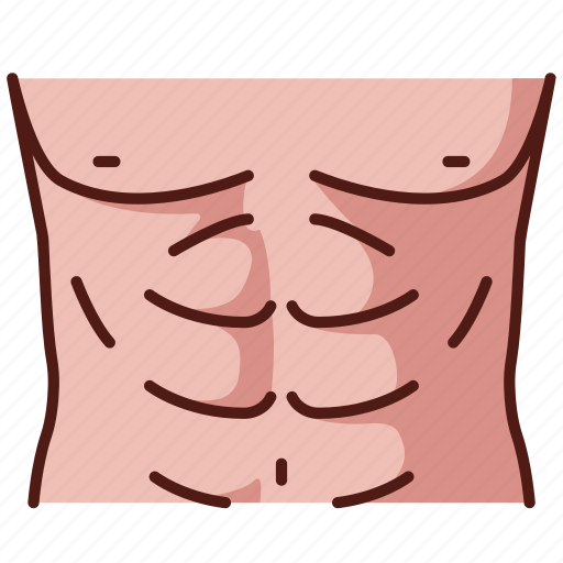 Abdomen, health, stomach, abdominal, physical icon - Download on Iconfinder
