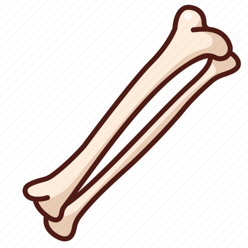 Bone, anatomy, skeleton, human, joint icon - Download on Iconfinder