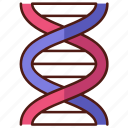dna, chromosome, helix, genetic, molecule