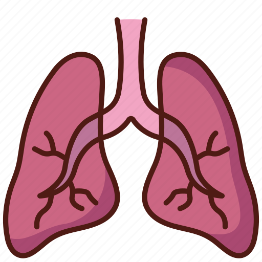 Health, lung, respiratory, medical, lungs icon - Download on Iconfinder