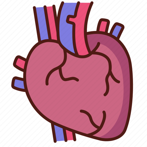Heart, anatomy, health, organ, artery icon - Download on Iconfinder