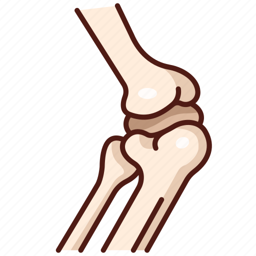 Knee, joint, arthritis, anatomy, bone icon - Download on Iconfinder