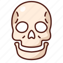 skull, skeleton, death, head, horror