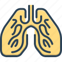 breath, bronchi, human, lungs, pulmonary, respiratory, trachea 