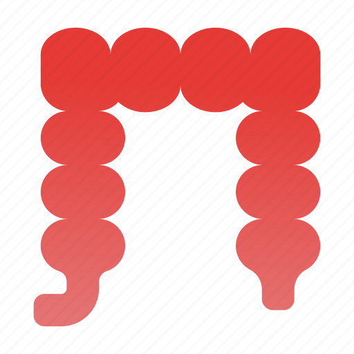 Human, body, large, intestine icon - Download on Iconfinder