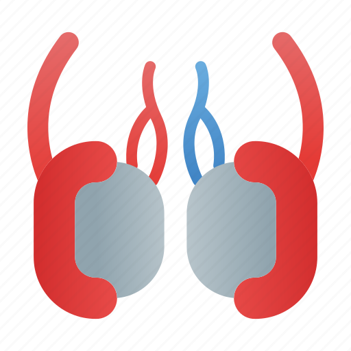 Human, body, testicles icon - Download on Iconfinder