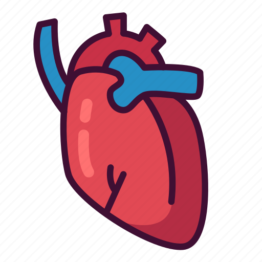 Anatomy, body, heart, medical, organ icon - Download on Iconfinder