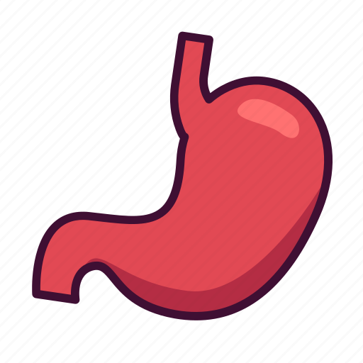 Anatomy, body, medical, organ, stomach icon - Download on Iconfinder