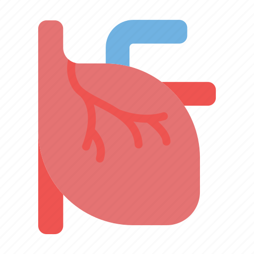 Human, body, heart icon - Download on Iconfinder
