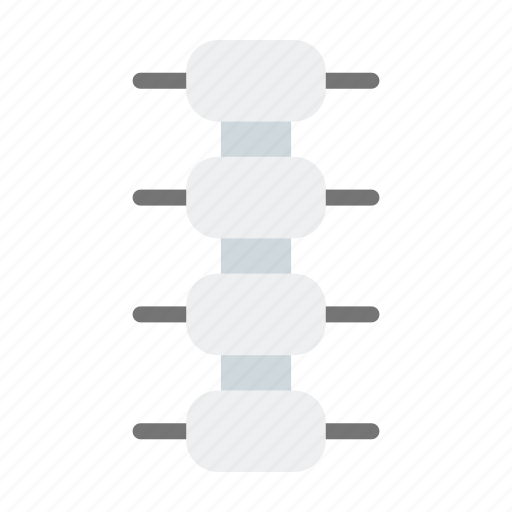 Human, body, spine icon - Download on Iconfinder