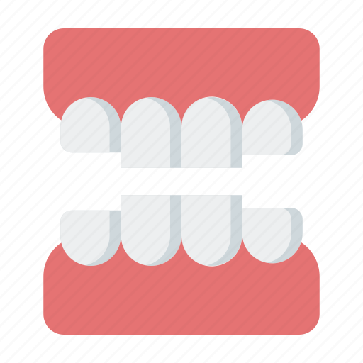 Human, body, teeth icon - Download on Iconfinder
